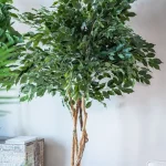 桃花位怎么找？催旺桃花运的家居布置